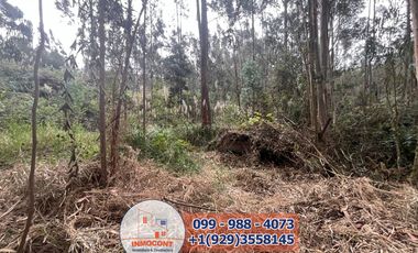 Lote Plano de venta  Ideal para construcción de Proyecto Turístico , Inmobiliario o inversión.