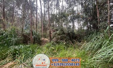 Lote Plano de venta  Ideal para construcción de Proyecto Turístico , Inmobiliario o inversión.