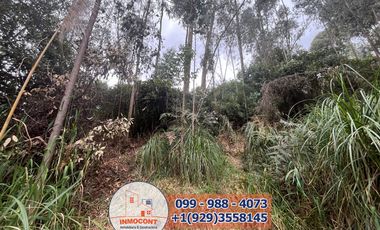 Lote Plano de venta  Ideal para construcción de Proyecto Turístico , Inmobiliario o inversión.