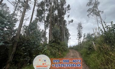 Lote Plano de venta  Ideal para construcción de Proyecto Turístico , Inmobiliario o inversión.