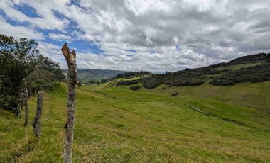 HECTAREAS EN VENTA  40