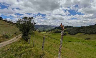 HECTAREAS EN VENTA  40