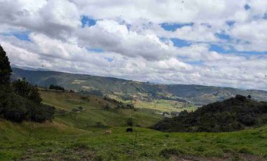 HECTAREAS EN VENTA  40