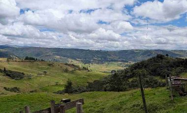 HECTAREAS EN VENTA  40