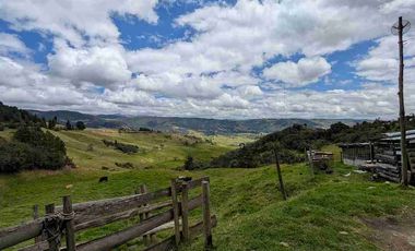 HECTAREAS EN VENTA  40