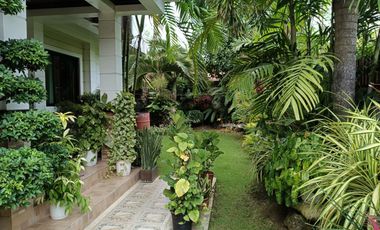 4 bedrooms 4 toilet and bath furnished house for sale in Cogon Tagbilaran City