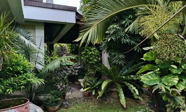 Furnished 4 bedrooms house for rent in Cogon Tagbilaran City 45k monthly