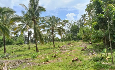 Aurora Lots for Only ₱2.5k/sqm! Scenic, Accessible, Near Schools & Town Center – Reserve Now!