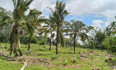 Aurora Lots for Only ₱2.5k/sqm! Scenic, Accessible, Near Schools & Town Center – Reserve Now!