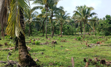 Aurora Lots for Only ₱2.5k/sqm! Scenic, Accessible, Near Schools & Town Center – Reserve Now!