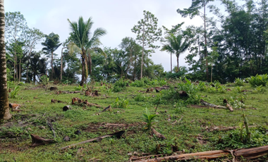 Aurora Lots for Only ₱2.5k/sqm! Scenic, Accessible, Near Schools & Town Center – Reserve Now!