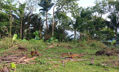 Aurora Lots for Only ₱2.5k/sqm! Scenic, Accessible, Near Schools & Town Center – Reserve Now!