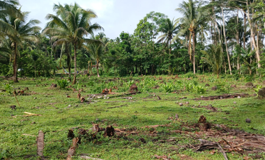 Aurora Lots for Only ₱2.5k/sqm! Scenic, Accessible, Near Schools & Town Center – Reserve Now!