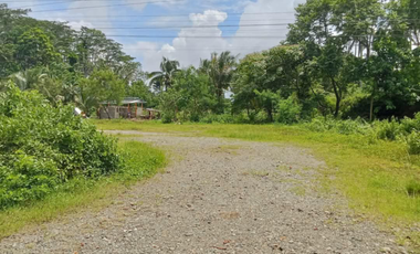 Aurora Lots for Only ₱2.5k/sqm! Scenic, Accessible, Near Schools & Town Center – Reserve Now!