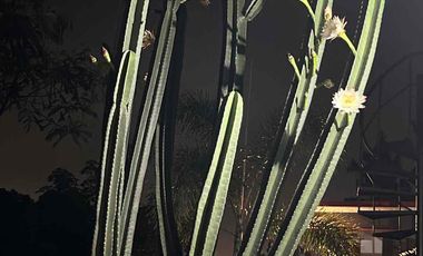 Rumah diJual di Salatiga