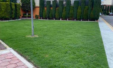 VENTA CASA. La Galia. Solo Recursos propios