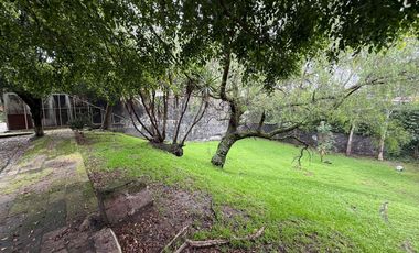 Casa con departamento rodeados de jardín