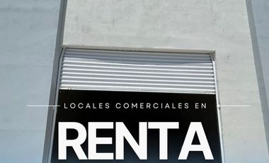 LOCALES COMERCIALES EN RENTA TALAMAS CAMANDARI