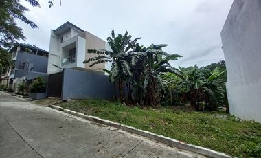 House for sale in San Jose, Antipolo City