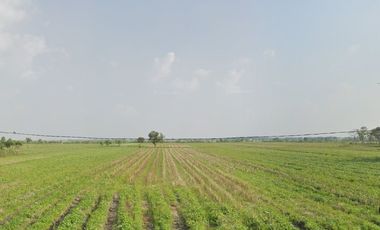 Industrial Land for Sale, Demak City, Jl. Raya Pantura Demak towards Kudus, 4.35 hectares