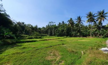 10 Menit Exit Tol Sentolo, Tanah Jogja Barat SHM Murah Strategis