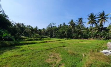 10 Menit Exit Tol Sentolo, Tanah Jogja Barat SHM Murah Strategis