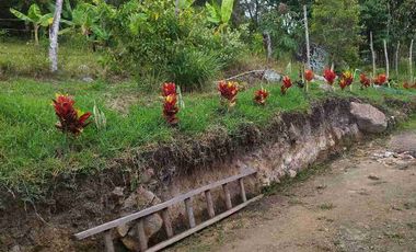 SE VENDE HERMOSA FINCA PEQUEÑA EN LA VEREDA LA TRINIDAD.