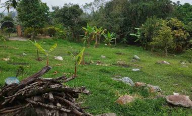 SE VENDE HERMOSA FINCA PEQUEÑA EN LA VEREDA LA TRINIDAD.