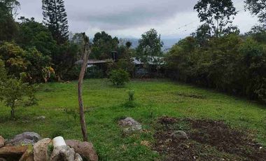 SE VENDE HERMOSA FINCA PEQUEÑA EN LA VEREDA LA TRINIDAD.