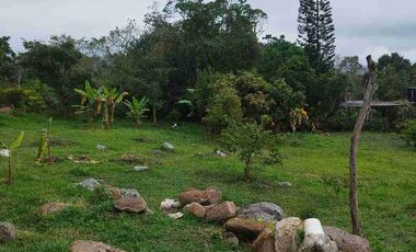 SE VENDE HERMOSA FINCA PEQUEÑA EN LA VEREDA LA TRINIDAD.