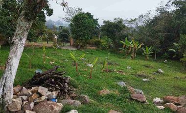 SE VENDE HERMOSA FINCA PEQUEÑA EN LA VEREDA LA TRINIDAD.