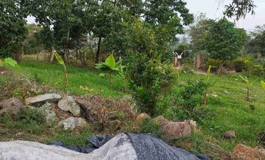 SE VENDE HERMOSA FINCA PEQUEÑA EN LA VEREDA LA TRINIDAD.