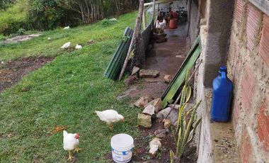 SE VENDE HERMOSA FINCA PEQUEÑA EN LA VEREDA LA TRINIDAD.