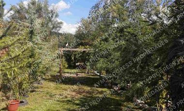 Cabaña en sector San Víctor Alamos