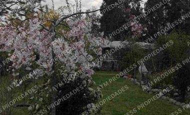Cabaña en sector San Víctor Alamos