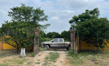 EN VENTA SOLAR PRODUCTIVO EN EJIDO JUAN RINCON