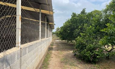 EN VENTA SOLAR PRODUCTIVO EN EJIDO JUAN RINCON