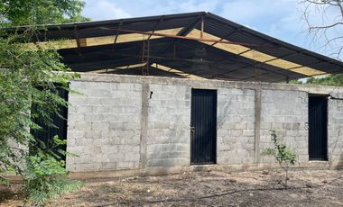 EN VENTA SOLAR PRODUCTIVO EN EJIDO JUAN RINCON