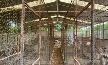 EN VENTA SOLAR PRODUCTIVO EN EJIDO JUAN RINCON