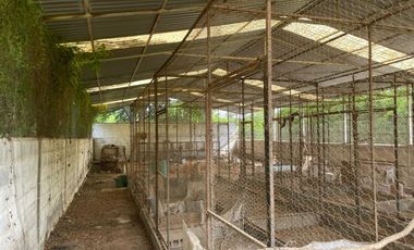 EN VENTA SOLAR PRODUCTIVO EN EJIDO JUAN RINCON