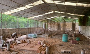 EN VENTA SOLAR PRODUCTIVO EN EJIDO JUAN RINCON