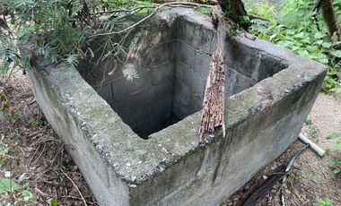 EN VENTA SOLAR PRODUCTIVO EN EJIDO JUAN RINCON