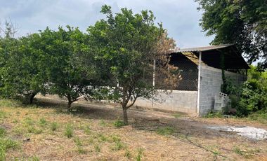 EN VENTA SOLAR PRODUCTIVO EN EJIDO JUAN RINCON