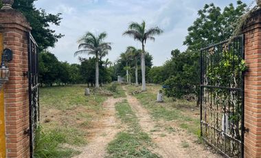 EN VENTA SOLAR PRODUCTIVO EN EJIDO JUAN RINCON