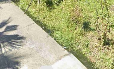 Cabiao Nueva Ecija vacant residential lot for sale clean docs