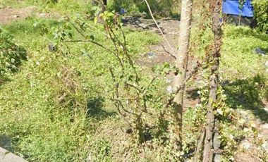 Cabiao Nueva Ecija vacant residential lot for sale clean docs