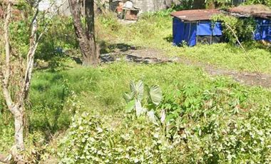 Cabiao Nueva Ecija vacant residential lot for sale clean docs