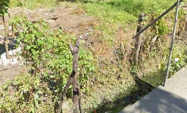 Cabiao Nueva Ecija vacant residential lot for sale clean docs