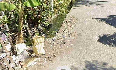 Cabiao Nueva Ecija vacant residential lot for sale clean docs