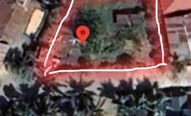 Cabiao Nueva Ecija vacant residential lot for sale clean docs